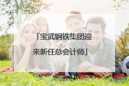 宝武钢铁集团迎来新任总会计师